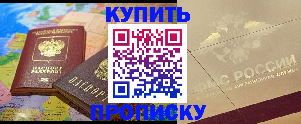 прописка поиск в Сольцах